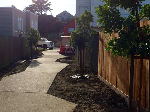 Ridge Lane June 2016